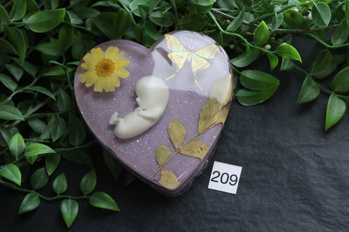 209 | 11 weeks