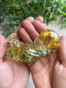 15 Weeks - Green and yellow