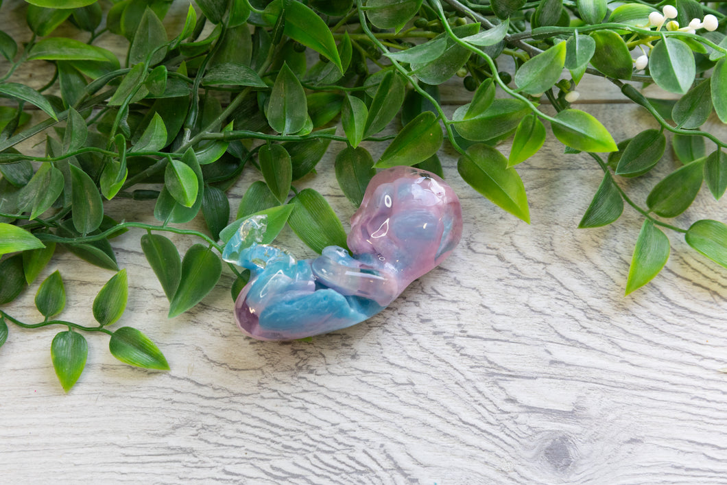 13 Weeks - Pink and Blue