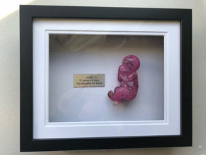 Shadow box- for 16-18 weeks