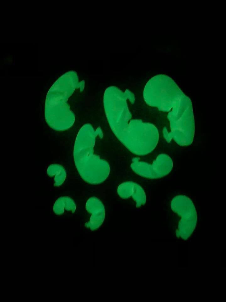 Custom Heart | 5-10 Weeks | 2.5 Inch